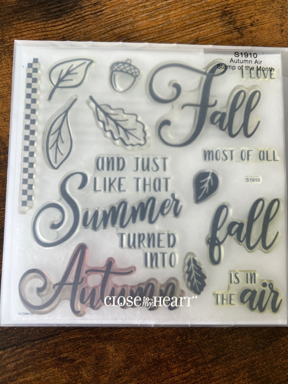 Close To My Heart AUTUMN AIR Sentiment Stamp Set - USED - s1910